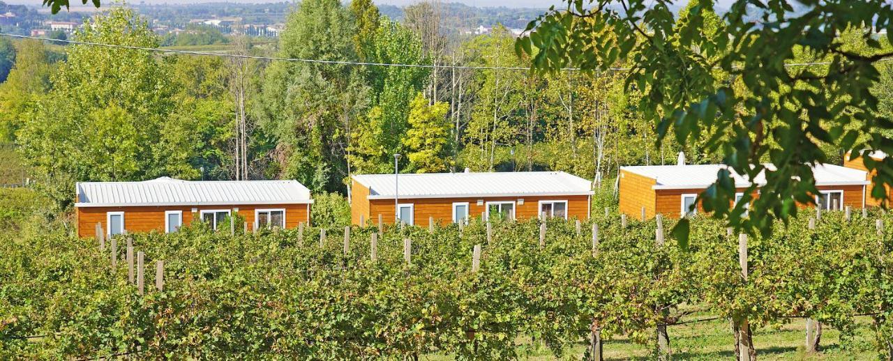 Agriturismo B&B Corte Tonolli Valeggio sul Mincio Exterior foto